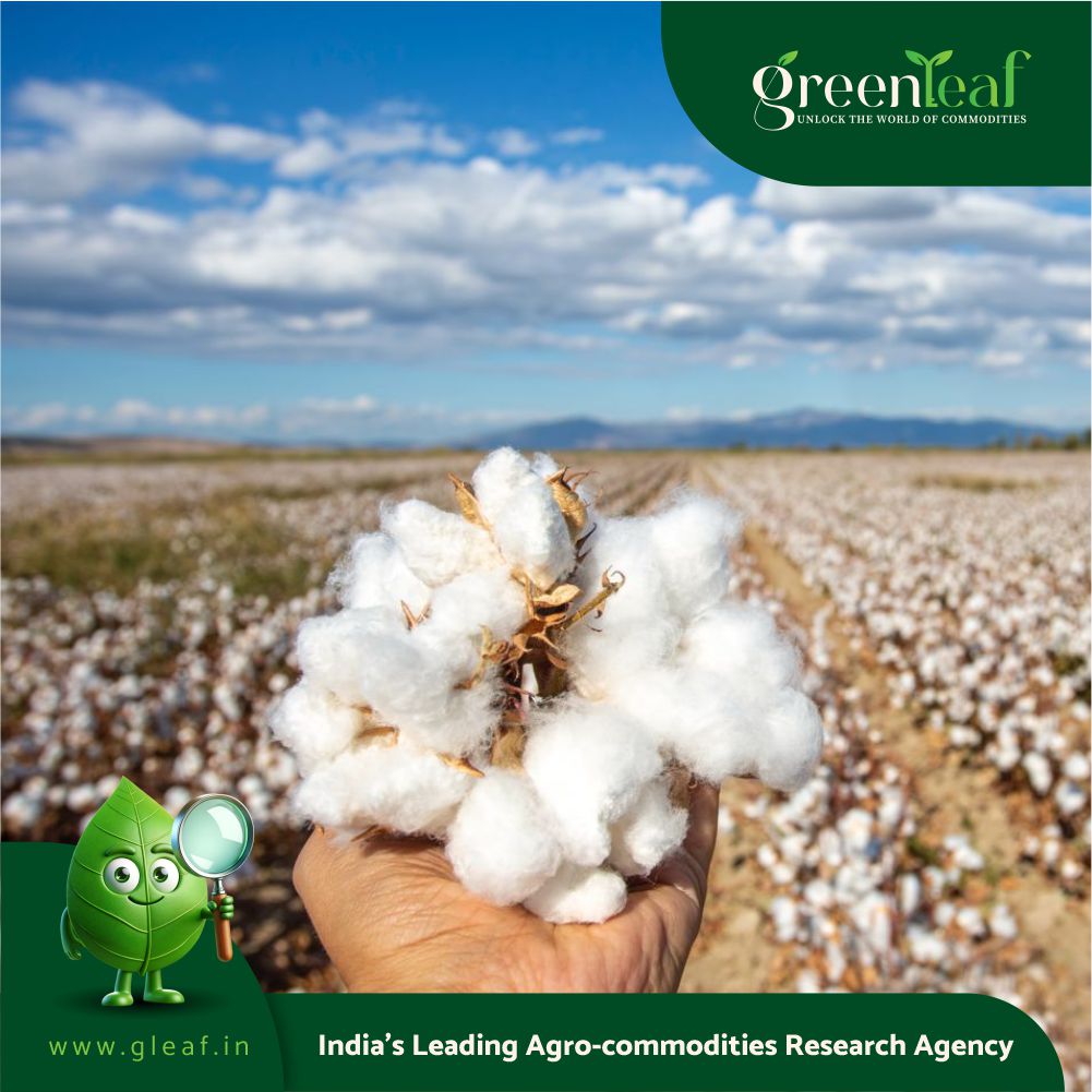 Cotton Highlights From April 2024 WASDE Report