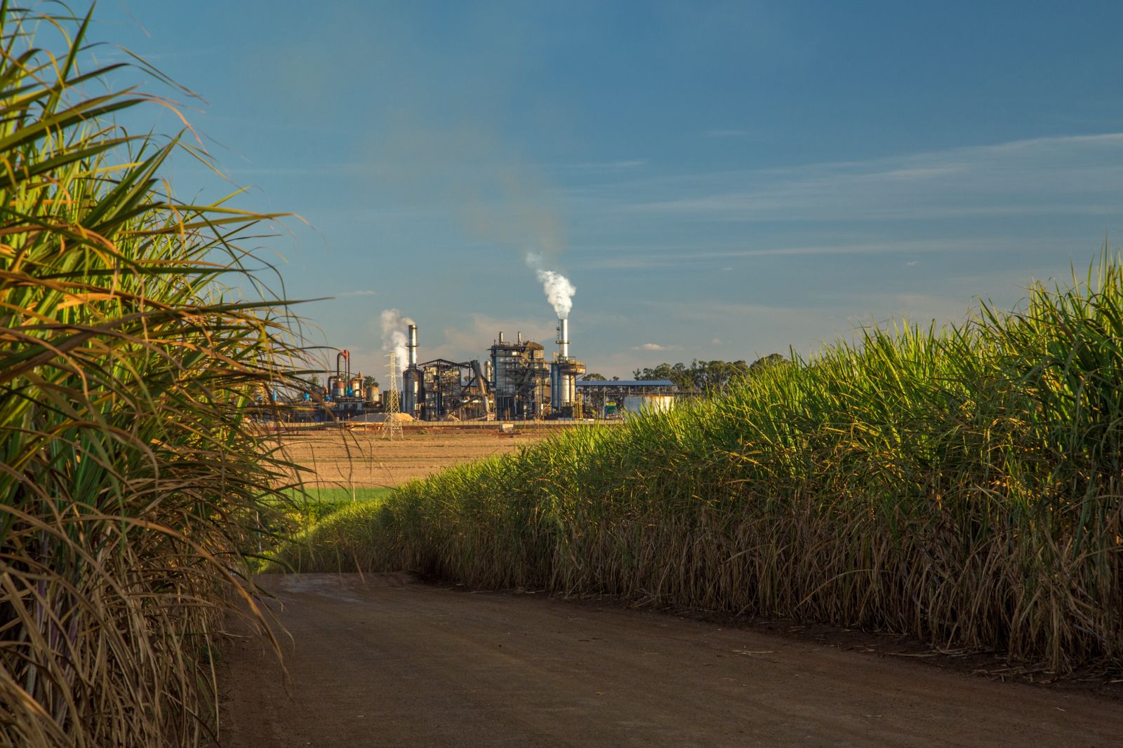 Fire yet to be doused at S Alam sugar mill after 41 hours